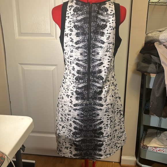 Reed Print Flare Dress - Picture 2 of 3